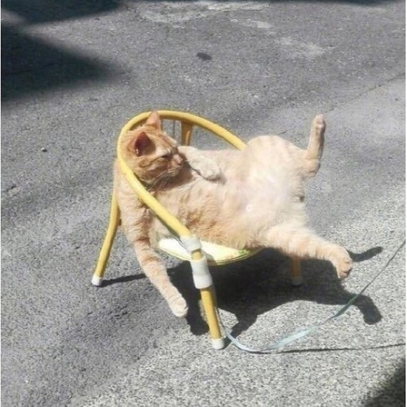 Hi, I’m Michelle❣️ - Picture 11 of 13